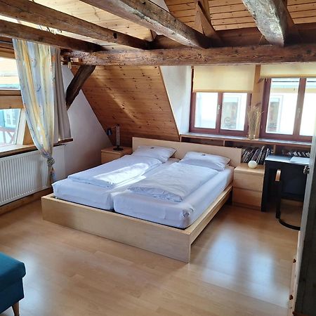 charmante Pension zentral Reutlingen Esterno foto